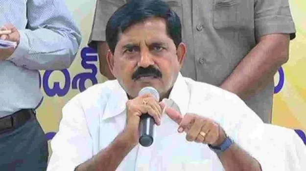 MLA Jammalamadugu Adinarayana Reddy: శంకరయ్య వెనుక వివేకా హంతకులు