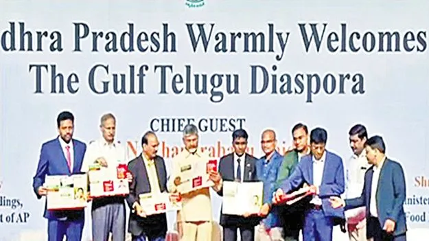 CM Chandrababu: ఎన్నారైలకూ బీమా