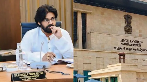 Additional Advocate General (AAG): పవన్‌ కల్యాణ్‌పై రాజకీయ ప్రేరిత వ్యాజ్యం