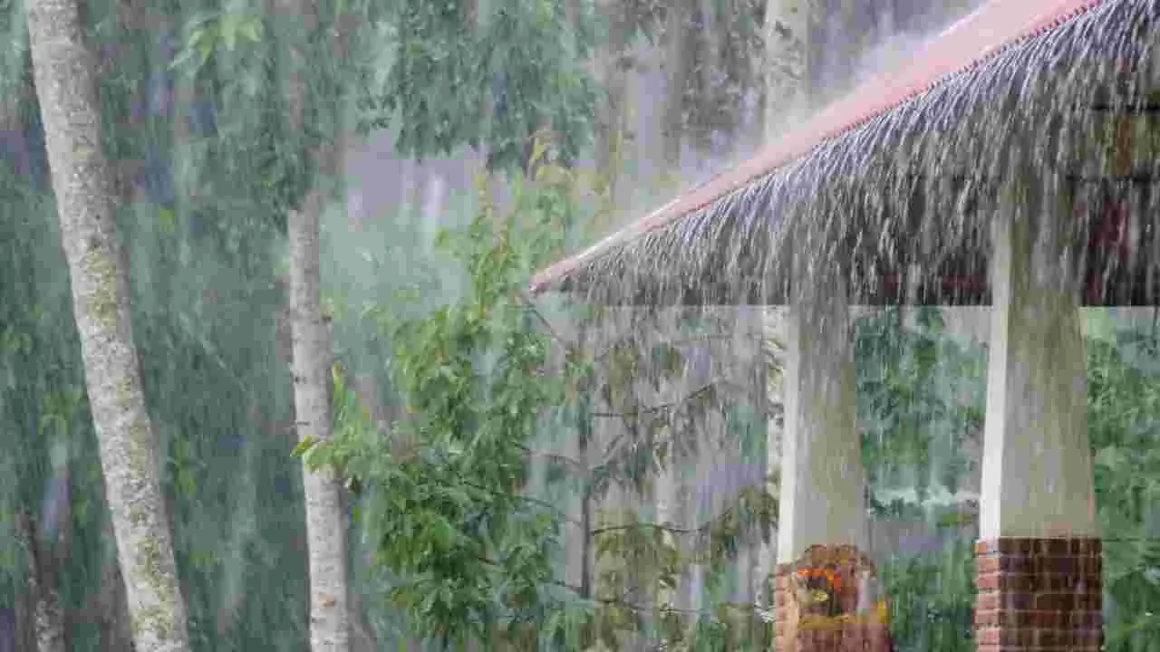 Rayalaseema: నేడు సీమలో భారీ వర్షాలు