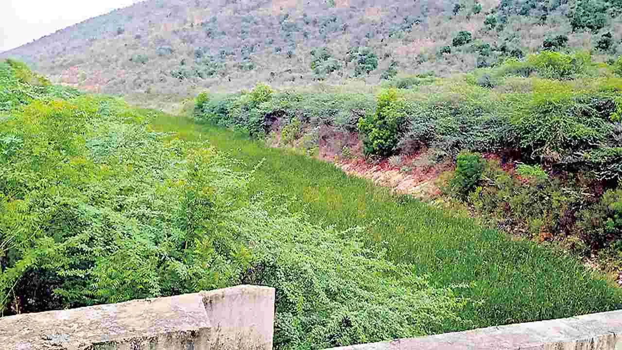 Veligonda  Feeder Canal: వెలిగొండ ఫీడర్‌ కాలువ లైనింగ్‌కు రూ.456 కోట్లు
