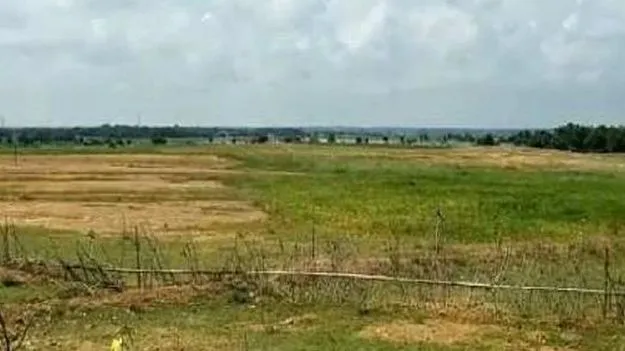 Revenue Department: నిషేధిత భూముల జాబితా రెడీ