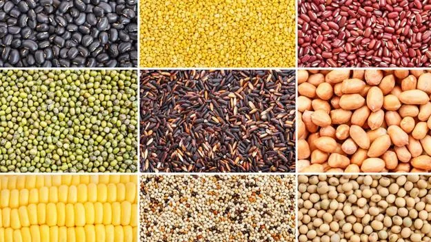 Agriculture Sector: ఆహార ధాన్యాల సాగు బాగు