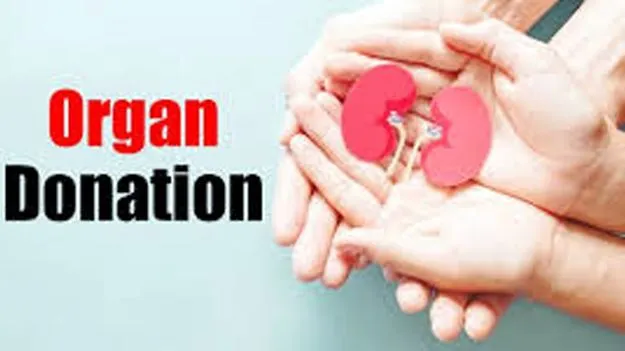 Janasena Activist: తాను లేకున్నా ఐదుగురికి పునర్జన్మ