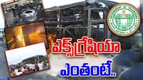 Telangana Govt: కర్నూలు మృతుల కుటుంబాలకు రూ.5 లక్షల ఎక్స్‌గ్రేషియా...