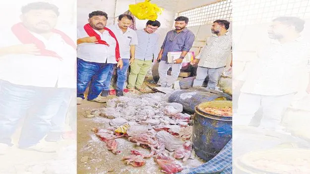 Meat Development Corporation: చికెన్‌ దుకాణాల్లో కుళ్లిన మాంసం