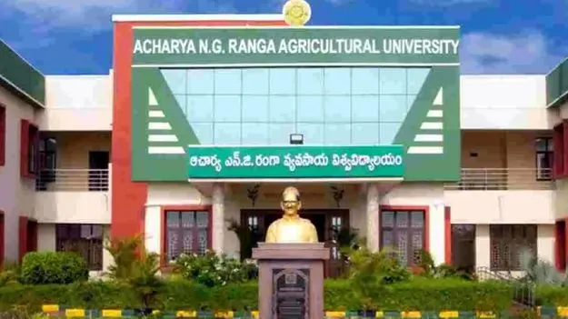 Financial Irregularities: ఎన్జీ రంగా వర్సిటీలో గోల్‌మాల్‌