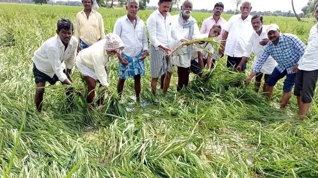Agriculture Department: పంట నష్టం జాబితాలపై అభ్యంతరాలు చెప్పొచ్చు