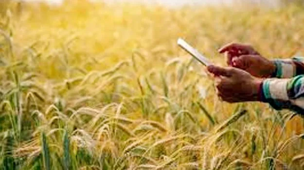 Digital Crop Survey: డిజిటల్‌ సర్వే నుంచి సాగు కాని భూముల మినహాయింపు