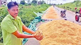 Nandyal District: రైతు కష్టం నీటిపాలు