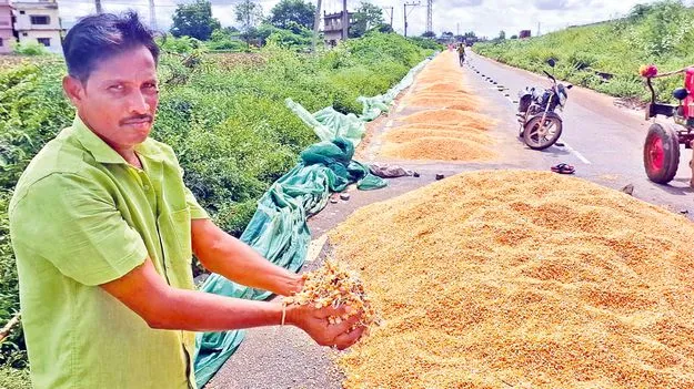 Nandyal District: రైతు కష్టం నీటిపాలు