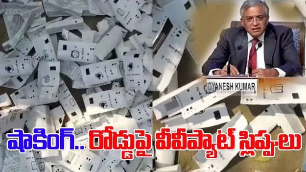 Bihar Elections VVPAT Slips: రోడ్లపై వీవీప్యాట్ స్లిప్పులు.. ఇద్దరు అధికారుల సస్పెండ్