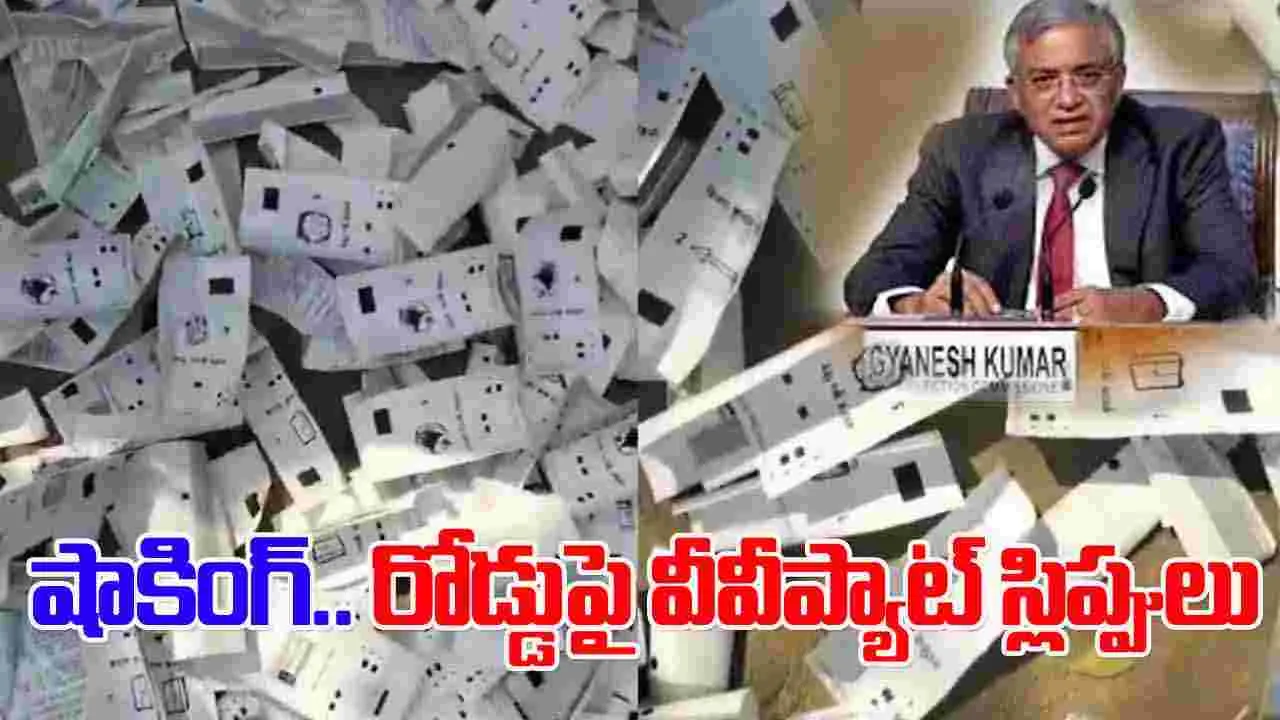 Bihar Elections VVPAT Slips: రోడ్లపై వీవీప్యాట్ స్లిప్పులు.. ఇద్దరు అధికారుల సస్పెండ్