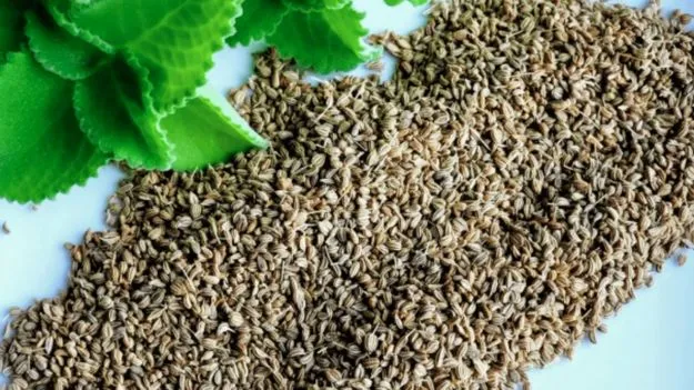  Ajwain Benefits for Health: గ్యాస్, జీర్ణ సమస్యలకు ఇలా శాశ్వతంగా చెక్ పెట్టండి.!