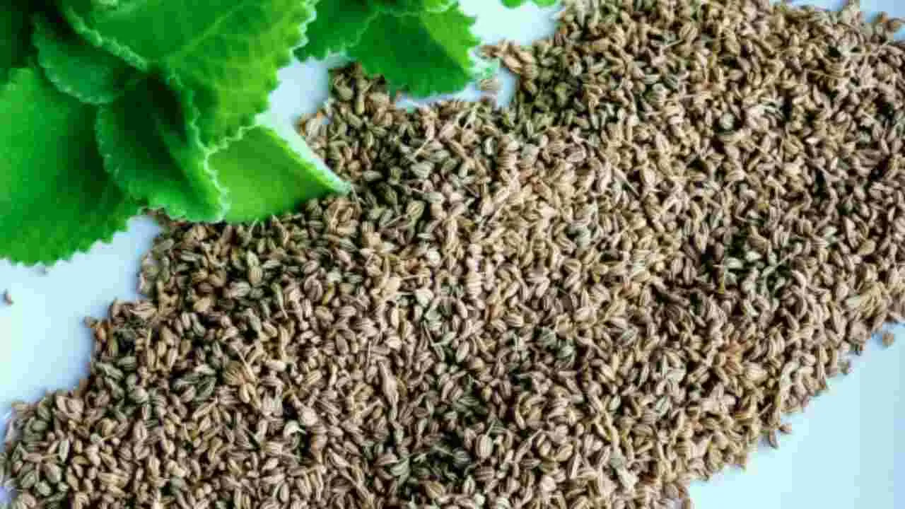  Ajwain Benefits for Health: గ్యాస్, జీర్ణ సమస్యలకు ఇలా శాశ్వతంగా చెక్ పెట్టండి.!