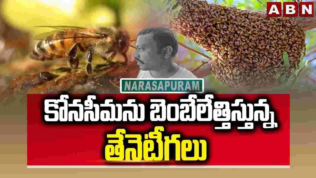 Honey Bee Attack: కోనసీమను బెంబేలెత్తిస్తున్న తేనెటీగలు 
