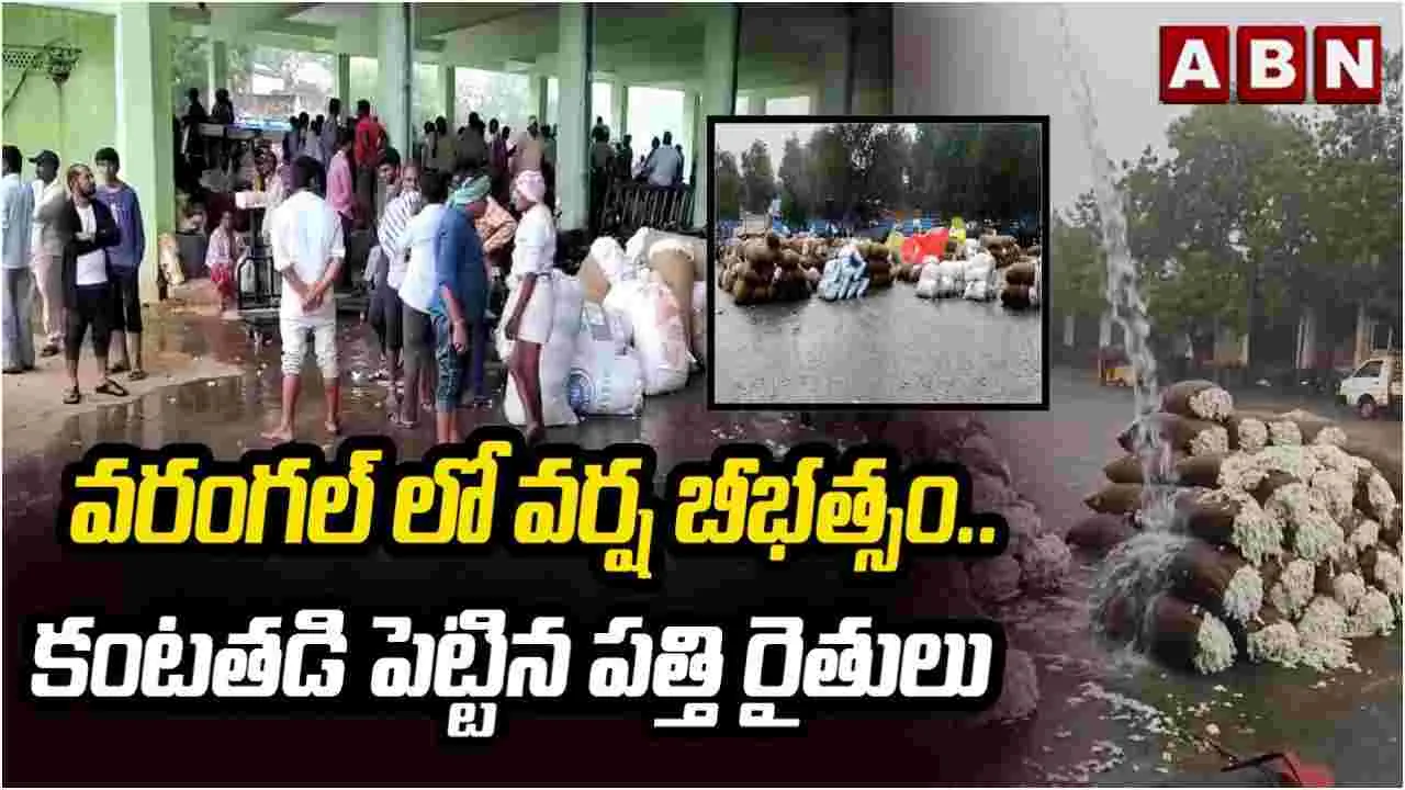 Warangal Rain Impact: వర్ష బీభత్సం.. తీవ్రంగా నష్టపోయిన రైతులు
