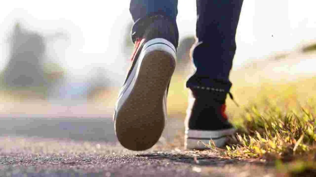 Winter Walking Tips: శీతాకాలంలో వాకింగ్ చేసేవారు ఈ విషయాలు గుర్తుంచుకోవాలి.!