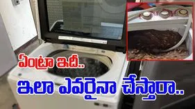 Washing Machine Viral Video: వాషింగ్ మిషిన్ వాడేది ఇందుకా.. కంపెనీ వాళ్లు చూస్తే ఖంగుతింటారుగా.. 