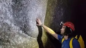 The world's largest spider's nest: ప్రపంచంలోనే అతిపెద్ద సాలీడు గూడును కనుగొన్న పరిశోధకులు