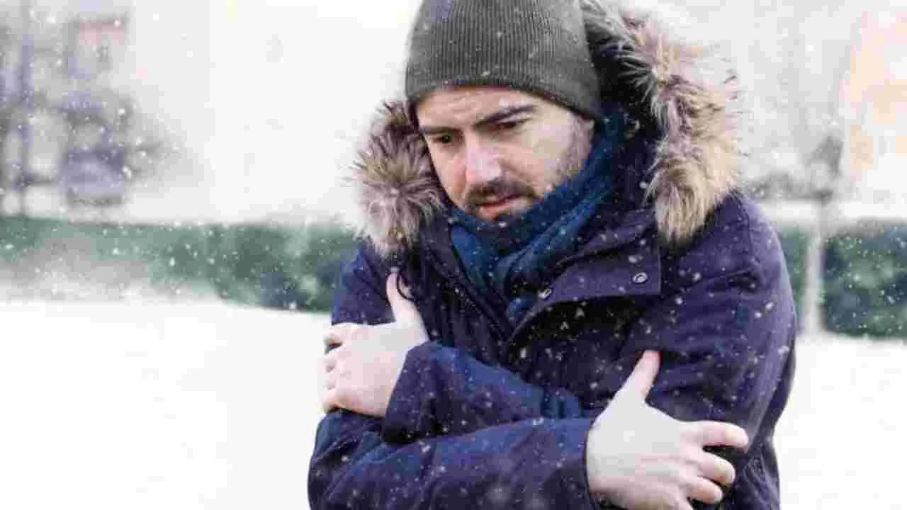Stroke Cases in Winter: చలి వాతావరణం స్ట్రోక్ ప్రమాదాన్ని పెంచుతుందా?