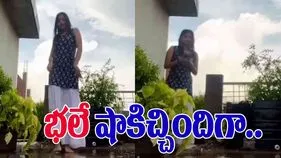 Young Women Funny Video: డాన్స్ చేస్తున్న యువతికి సడన్‌గా షాక్.. ఎదురుగా ఏమొచ్చిందో చూస్తే.. 
