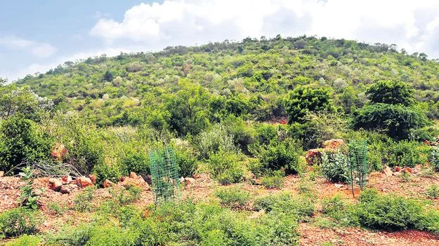 అతీగతీ లేని అదానీ డేటా సెంటర్‌