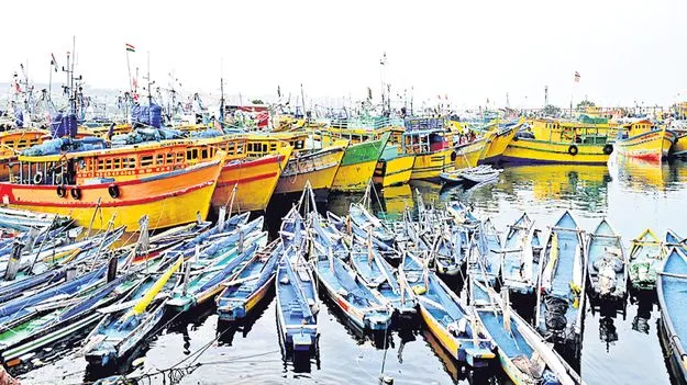 వేట విస్తృతం