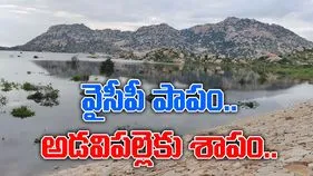 Adavipalle reservoir: వైసీపీ పాపం.. ఆ ప్రాజెక్టుకు శాపం..