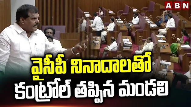 YSRCP Protest AP Council: ఛైర్మన్‌కు అవమానం అంటూ వైసీపీ సభ్యుల ఆందోళన