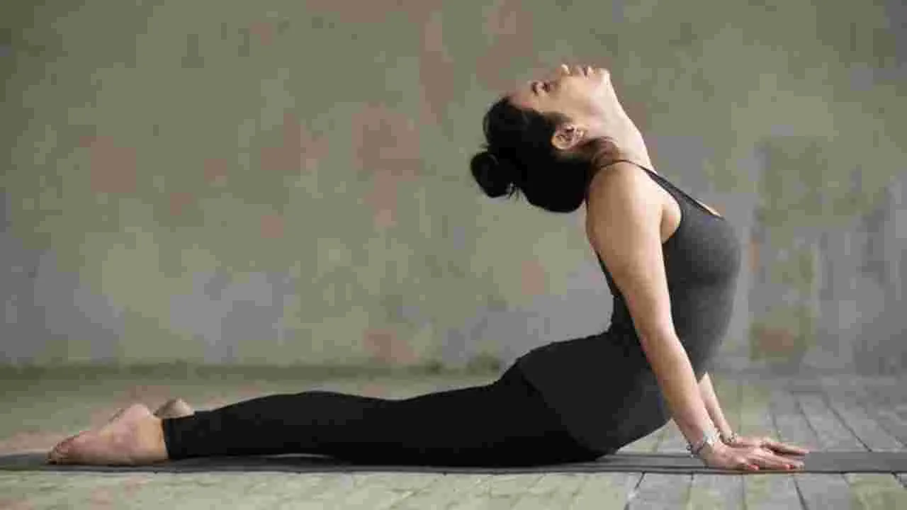  Yoga for Back Pain: రోజు ఈ యోగాసనాలు చేస్తే వెన్నునొప్పి మాయం.!