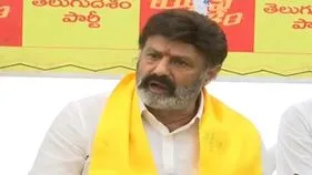 MLA Balakrishna: హిందూపురంలో పరిశ్రమల హబ్‌ ఏర్పాటు చేయండి.. 