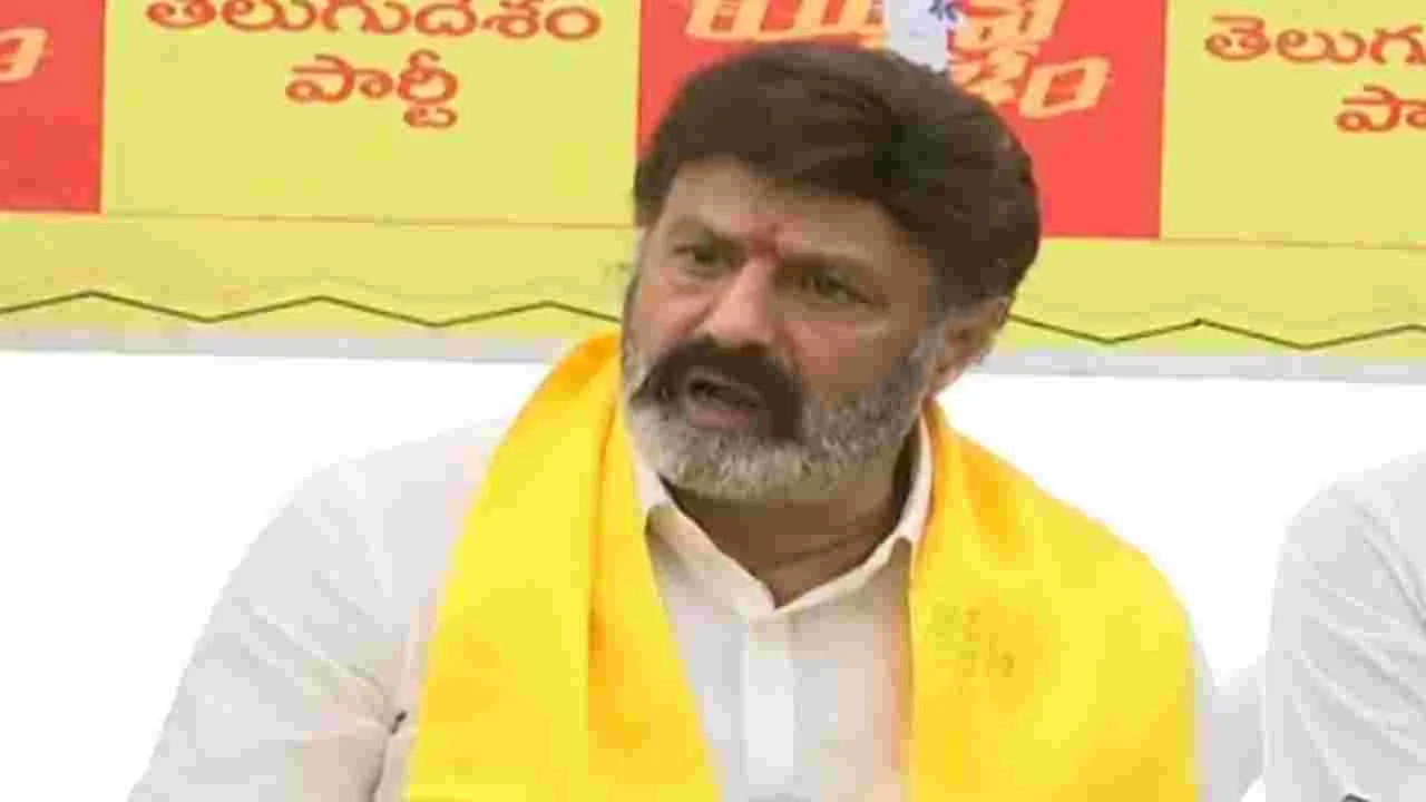 MLA Balakrishna: హిందూపురంలో పరిశ్రమల హబ్‌ ఏర్పాటు చేయండి.. 