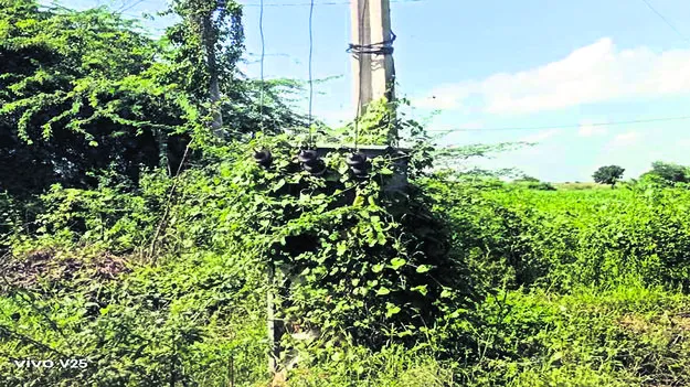 ముళ్లకంపల్లో ట్రాన్సఫార్మర్‌ 