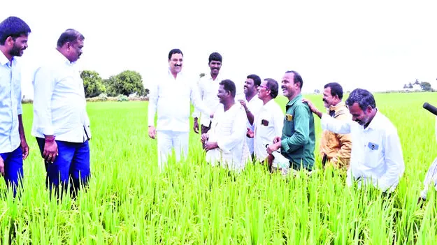 ఇది రైతు ప్రభుత్వం: విప్‌ 