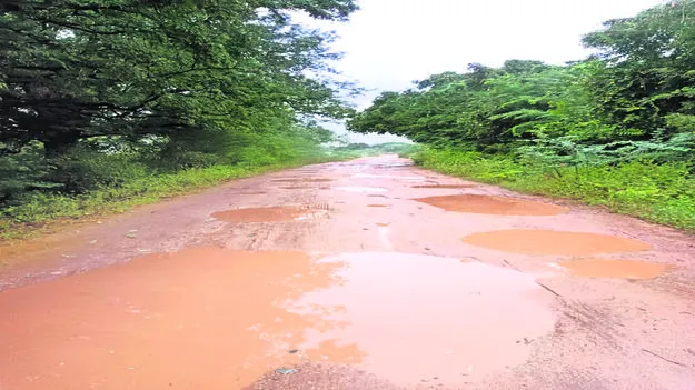 ఆగిన కైరేవు రోడ్డు నిర్మాణం