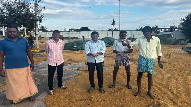 వర్షానికి కొట్టుకుపోయిన ధాన్యం..