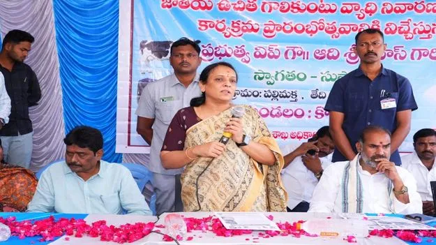 పాడి పరిశ్రమపై దృష్టి సారించాలి