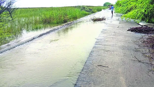 ఎడతెరపి లేని వర్షాలు