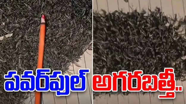 Powerful incense stick: ఈ అగరబత్తీ చాలా పవర్‌ఫుల్.. ఈ మహిళకు హ్యాట్సాఫ్ చెప్పాల్సిందే..