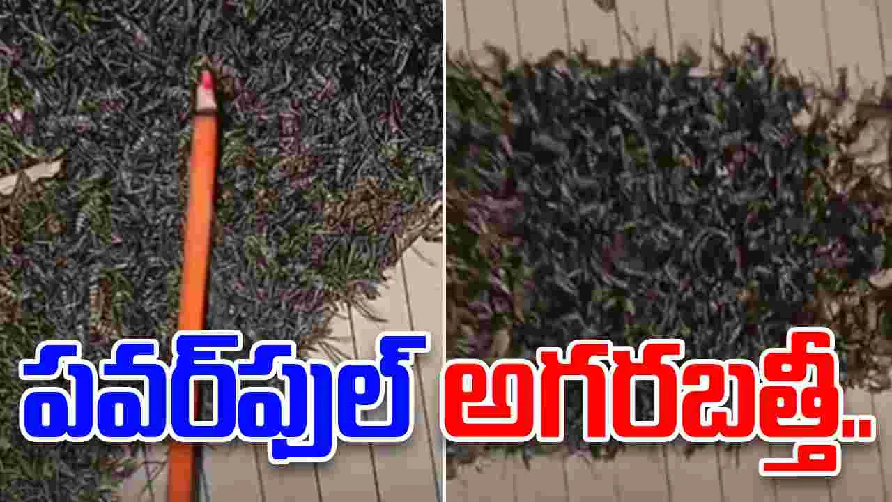 Powerful incense stick: ఈ అగరబత్తీ చాలా పవర్‌ఫుల్.. ఈ మహిళకు హ్యాట్సాఫ్ చెప్పాల్సిందే..