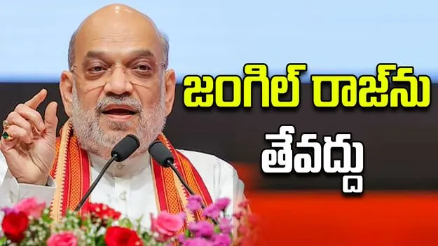 Bihar Elections: పంచ పాండవుల కూటమి మాది: అమిత్‌షా