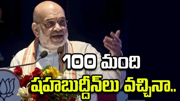 Bihar Elections: షహబుద్దీన్ ఐడియాలజీని ఓడించండి.. అమిత్‌షా పిలుపు