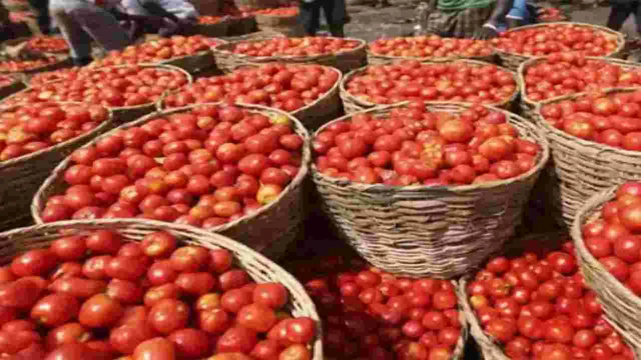 Tomato: ములకలచెరువు మార్కెట్‌కు పోటెత్తుతున్న టమోటాలు