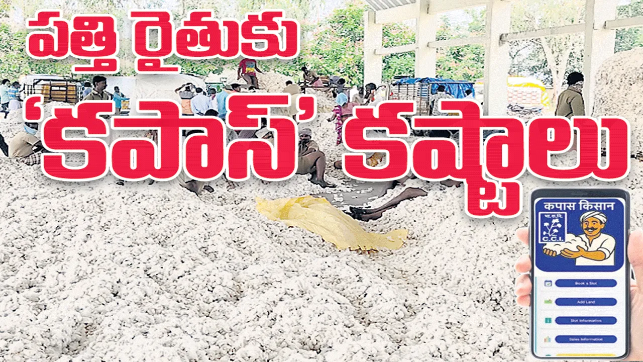  పత్తి రైతుకు ‘కపాస్‌’ కష్టాలు