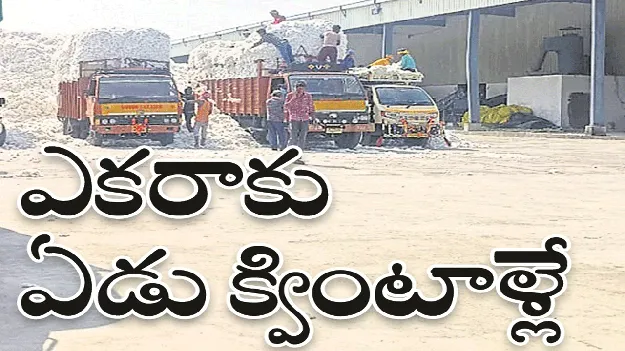 kumaram bheem asifabad- ఎకరాకు ఏడు క్వింటాళ్లే