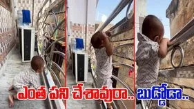 Little Boy Viral Video: జోగాడే పిల్లలే కదా అని బాల్కనీలో వదిలేస్తున్నారా.. 