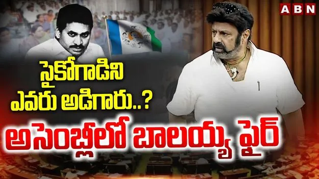 Balakrishna: వైసీపీ హయాంలో చిరంజీవిని అవమానించడం నిజమే: బాలకృష్ణ..