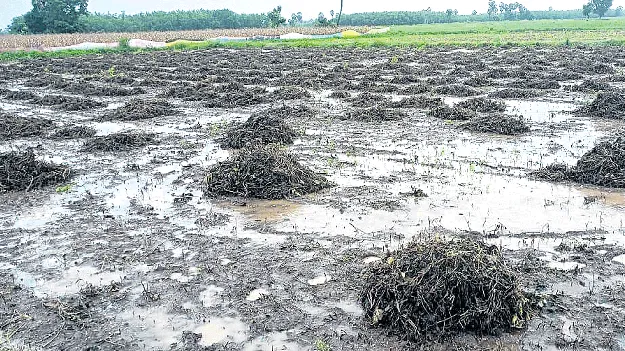 భారీవర్షాల బీభత్సం