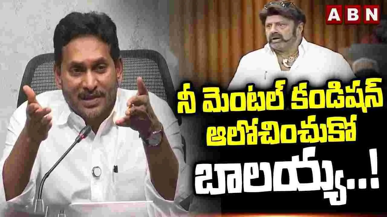 YS Jagan Comments On Balakrishna: నందమూరి బాలకృష్ణపై జగన్ సంచలన వ్యాఖ్యలు